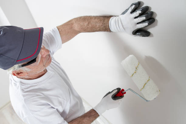 Best Mold Documentation for Insurance Claims  in Big Le, AK