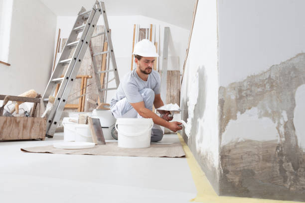 Best Water Damage & Mold Remediation  in Big Le, AK
