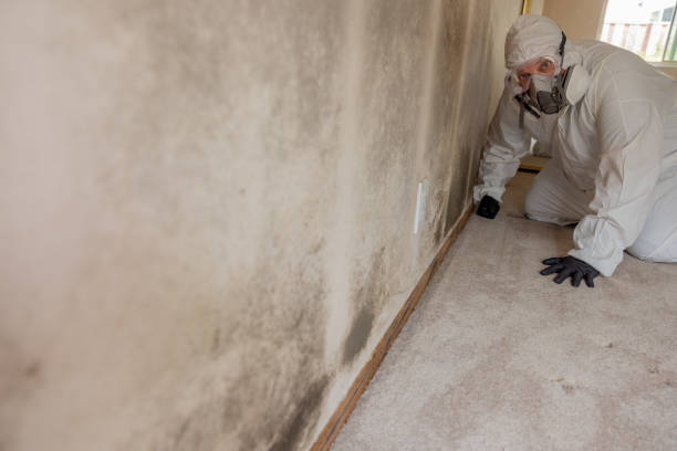 Best Air Quality Testing for Mold Spores  in Big Le, AK