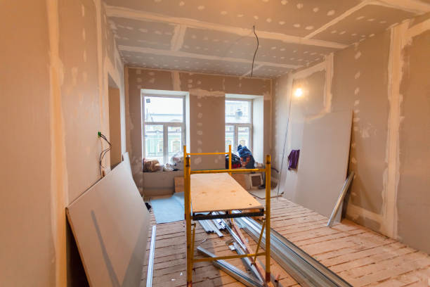 Best Mold Odor Removal Services  in Big Le, AK